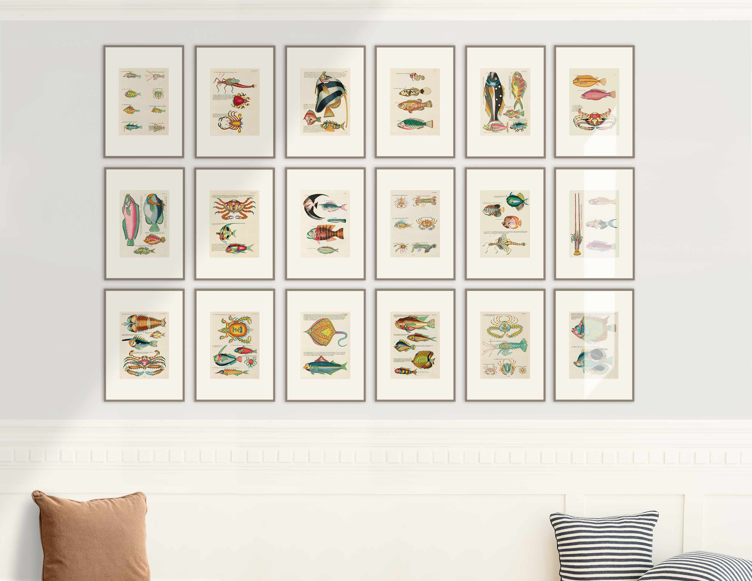 Serie med farverige fisk