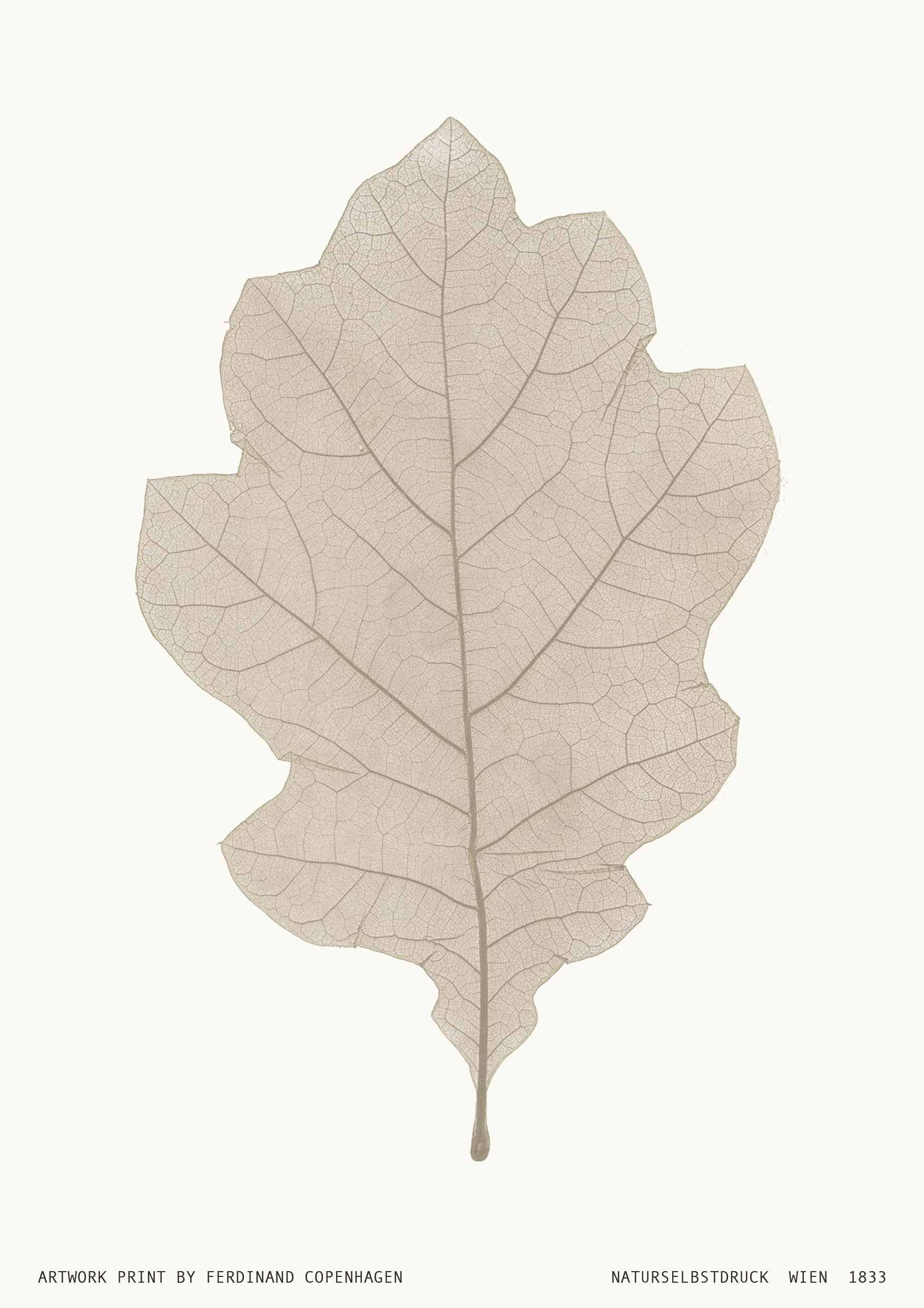 Naturselbstdruck    6 farver