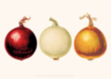 3 løg illustrationer med teksten Always Add Onions