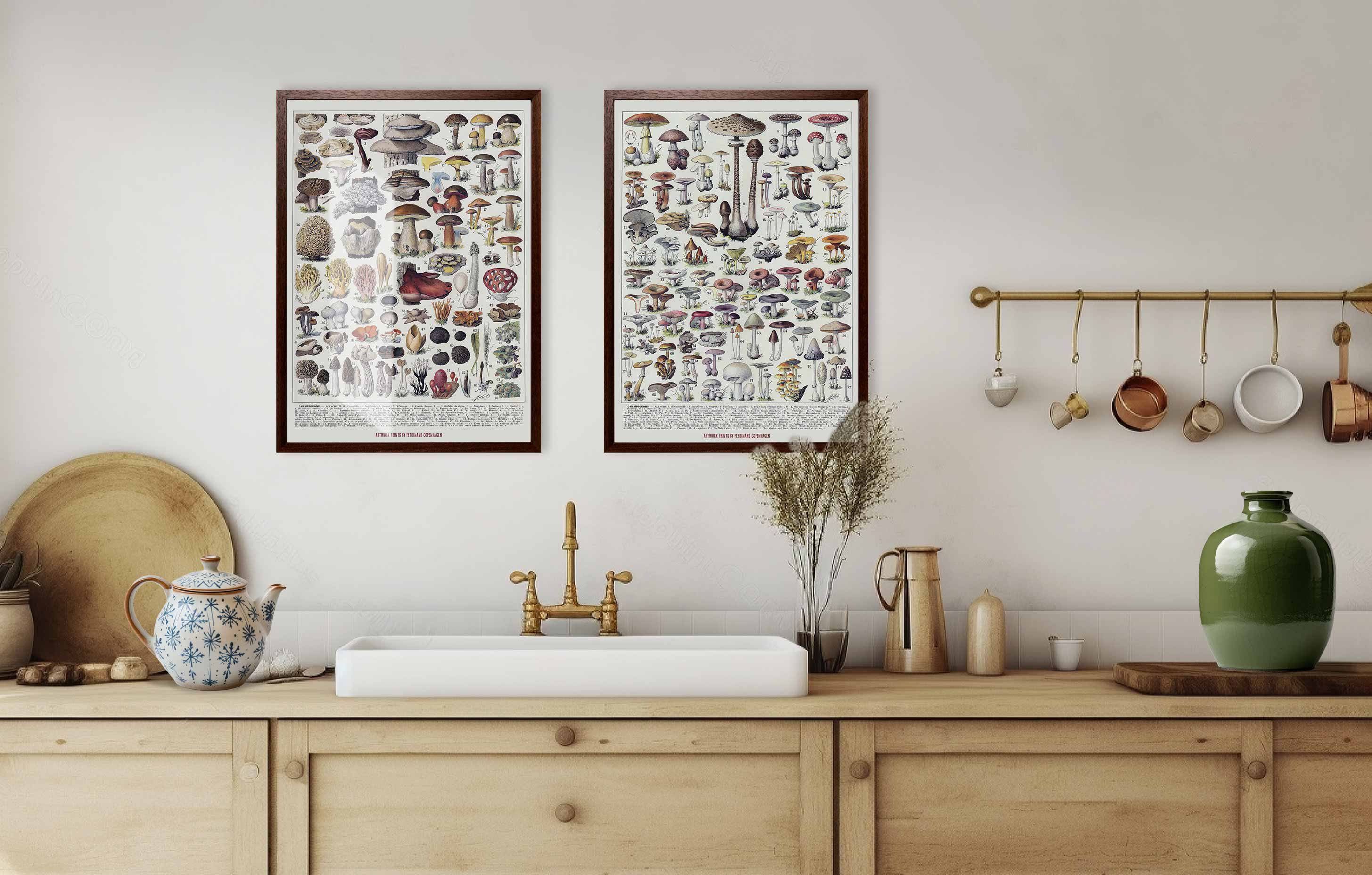 Svampeland Nr. A & B