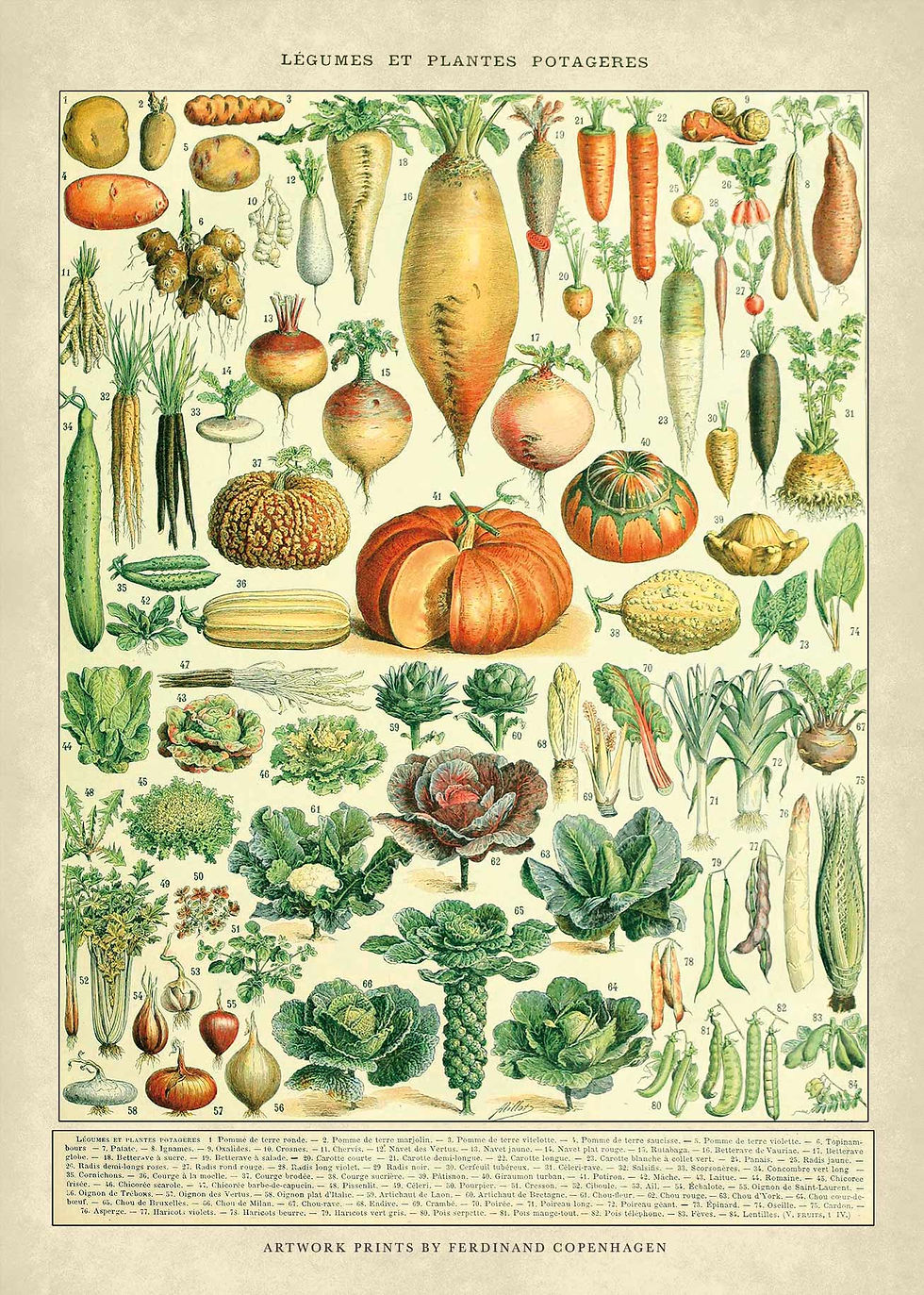 Miniaturebillede: French Plates