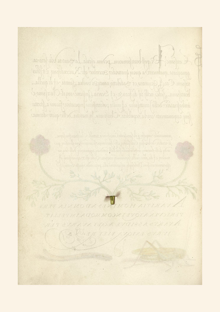 Kalligrafi: Trompe l'oeil Nr. 1 BAGSIDE