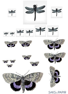 insekt tapet WEB.jpg