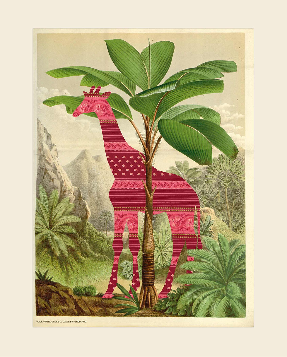 Miniaturebillede: Wallpaper Jungle Collage 1-4