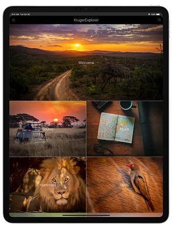 iPad Pro - Website version small.png