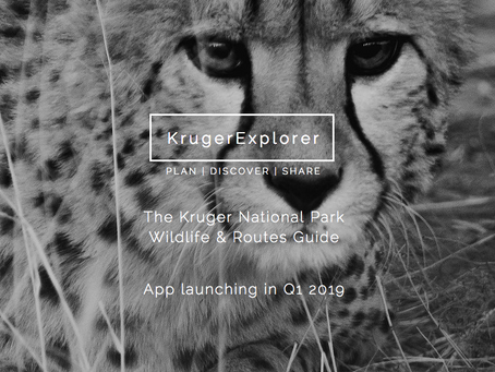 Plan | Discover | Share