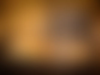 7 Weeks in Kruger: Lower Sabie, Part 1 - The Beasts