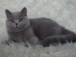 999597_523190254416909_2123637877_n