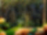 Evany -Portal sml.jpg
