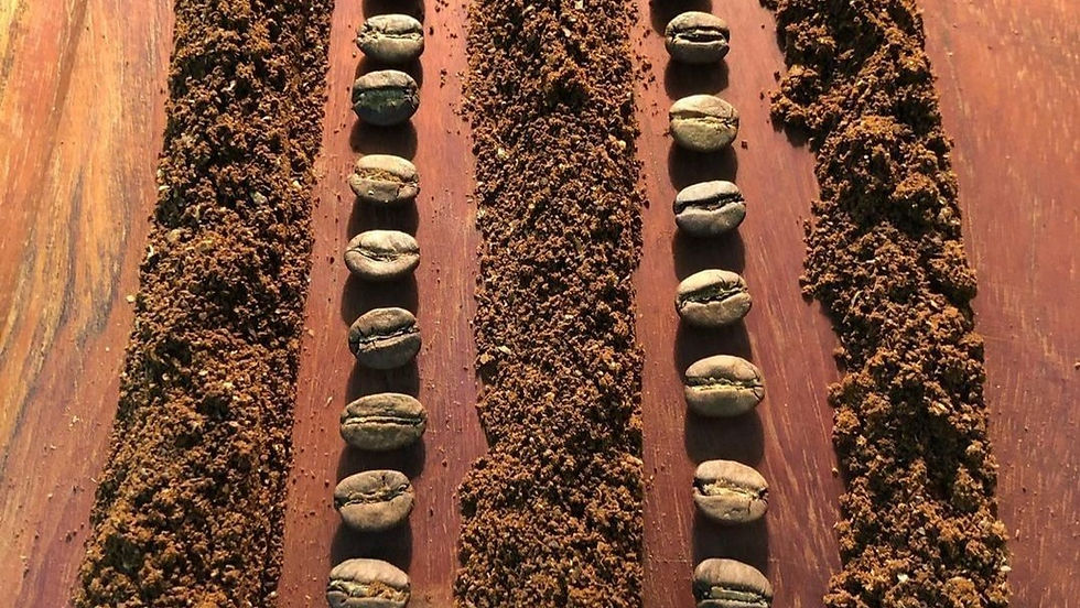 Vou moer o meu café em casa… qual moedor escolher?