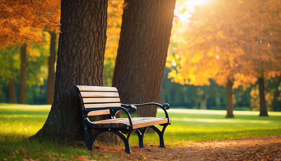 Stillness Shared: Community Silence Session