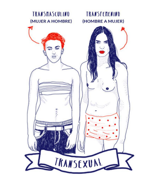 Captura-de-pantalla-2015-08-25-a-las-2.23.17_507