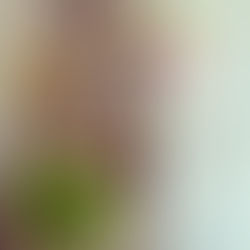 Bordeaux, l'art de se perdre...