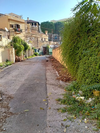 Villa-Igiea-entrata-fiorita-Fw.jpg