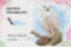 Thumbnail: One Brush Wonder Beginners Watercolour For Procreate