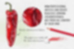 Thumbnail: Coloured Pencil Artist - Procreate
