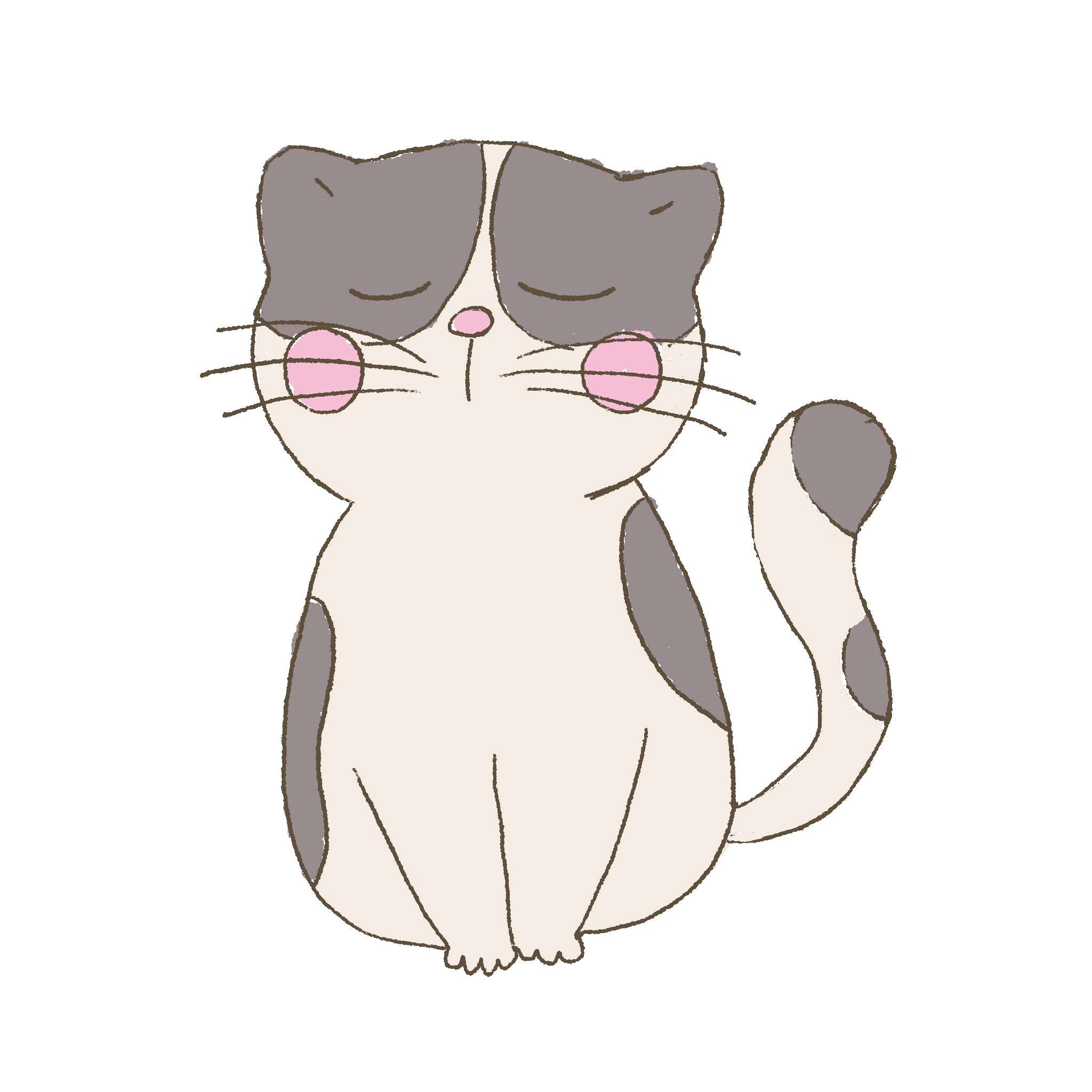 cat gif.gif