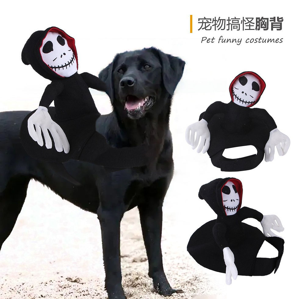 Thumbnail: Halloween Pet Cosplay Costume Scary Doll Horseback Riding Outfit Dog Cat ​​S