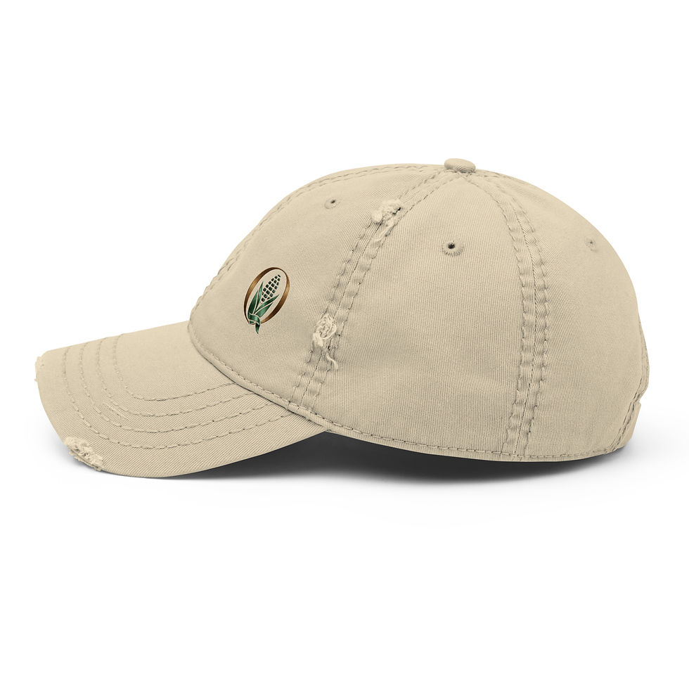Thumbnail: Distressed Dad Hat