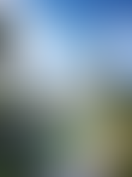 Pleasure and Meaning in the Future