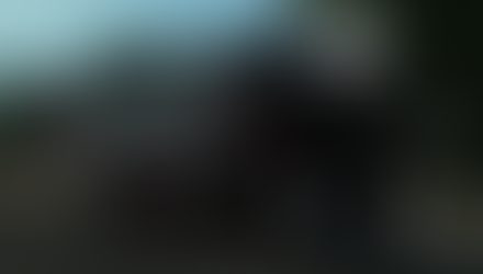 Helping D.P Transport out.