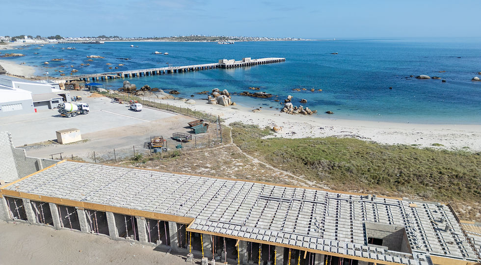 DJI_0588_edited.jpg