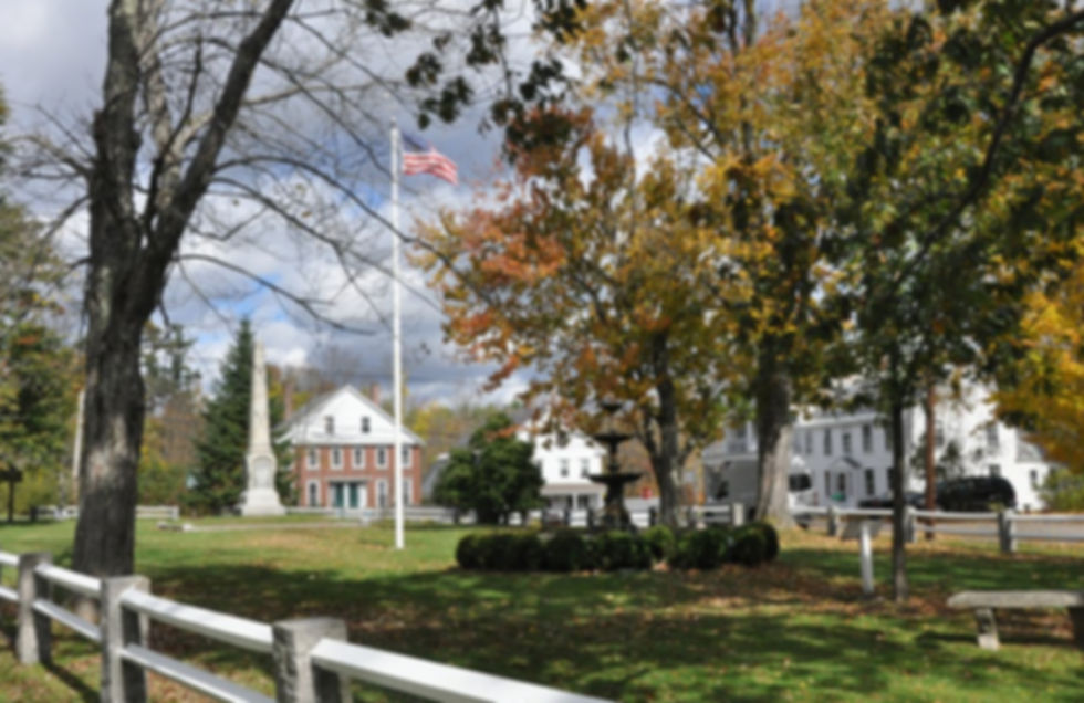 FitzwilliamNH_Common.jpg