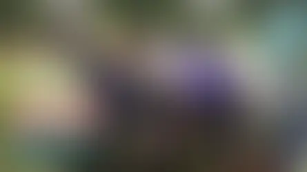 Kaunas tapo pradžia: Egidijus pakvietė Brigą Po – ir gimė naujas TV duetas!