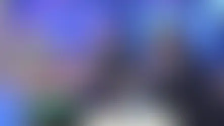 Laida „24/7“. Ar kiaulių galvos gali sustabdyti masinės imigracijos bangą?