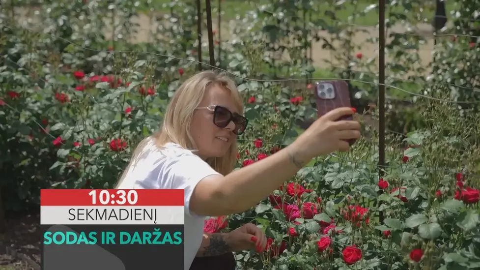 „Sodas ir daržas“ – laida visiems, norintiems praktiškai pažinti sodininkystės ir daržininkystės pasaulį