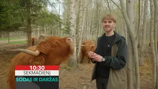 Premjera „Lietuvos ryto“ televizijoje – laida „Sodas ir daržas“ jau nuo gegužės 10 dienos!