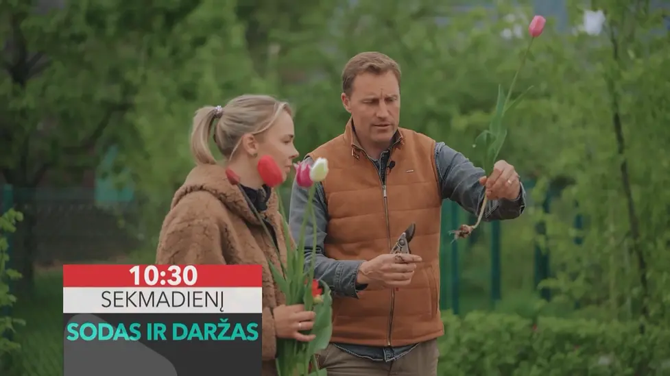 „Sodas ir daržas“ – nauja laida visiems, norintiems praktiškai pažinti sodininkystės ir daržininkystės pasaulį