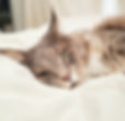 20201230_223135.jpg