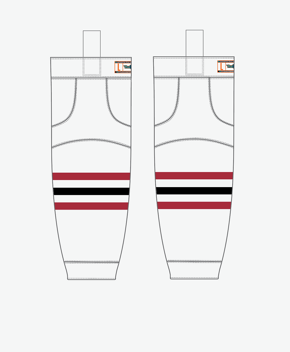 Thumbnail: Nashville Warriors Socks