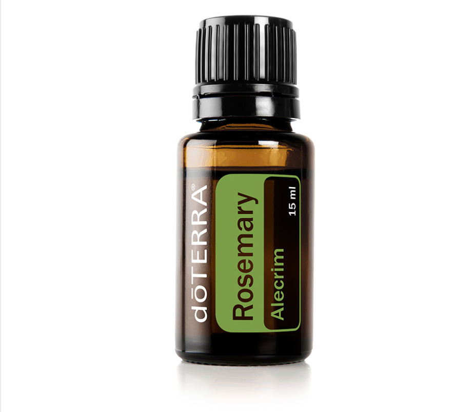Rosemary Rosmarinus officinalis (Alecrim)