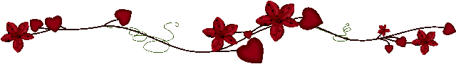 szlaczek.gif