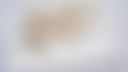 Geneviève Dagenais, Alice Zerini-le Reste - À marée latentes - 4.04.24 - 28.04.24