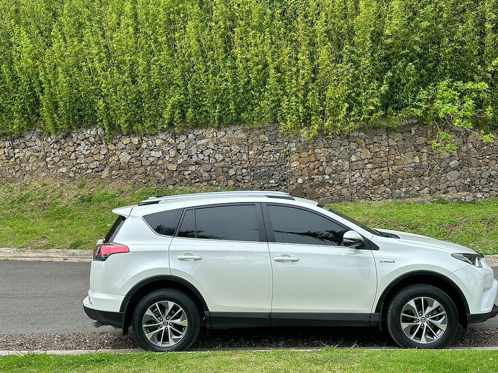 Miniatura: Toyota RAV4 Híbrido