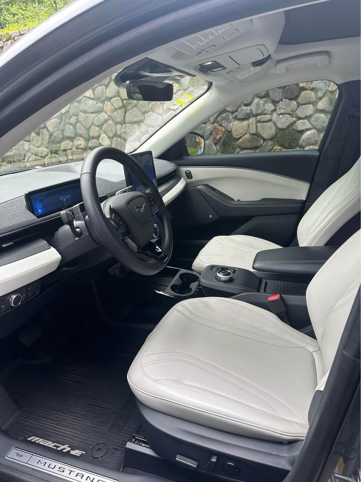 Miniatura: Ford Mustang MachE