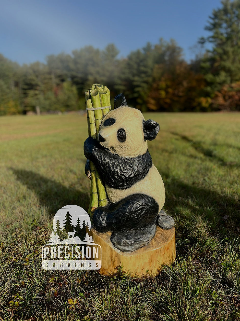 Malone the panda bear