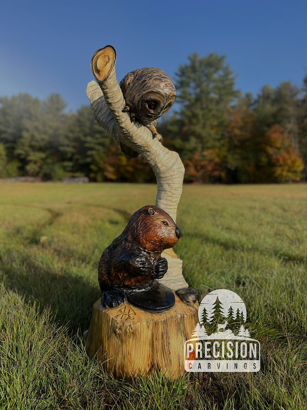 owl and beaver view two, excuse me!