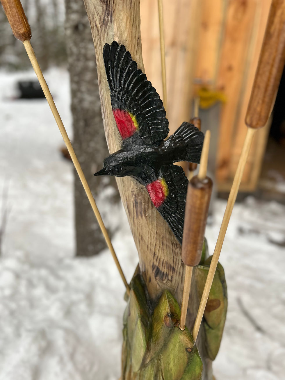red-winged black bird in flight with cattails