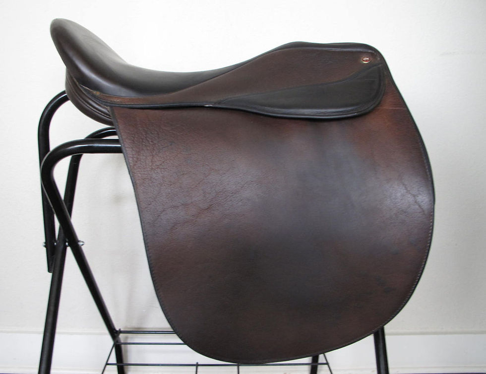 Thumbnail: 21"M ASC Scottsdale - 2003 model