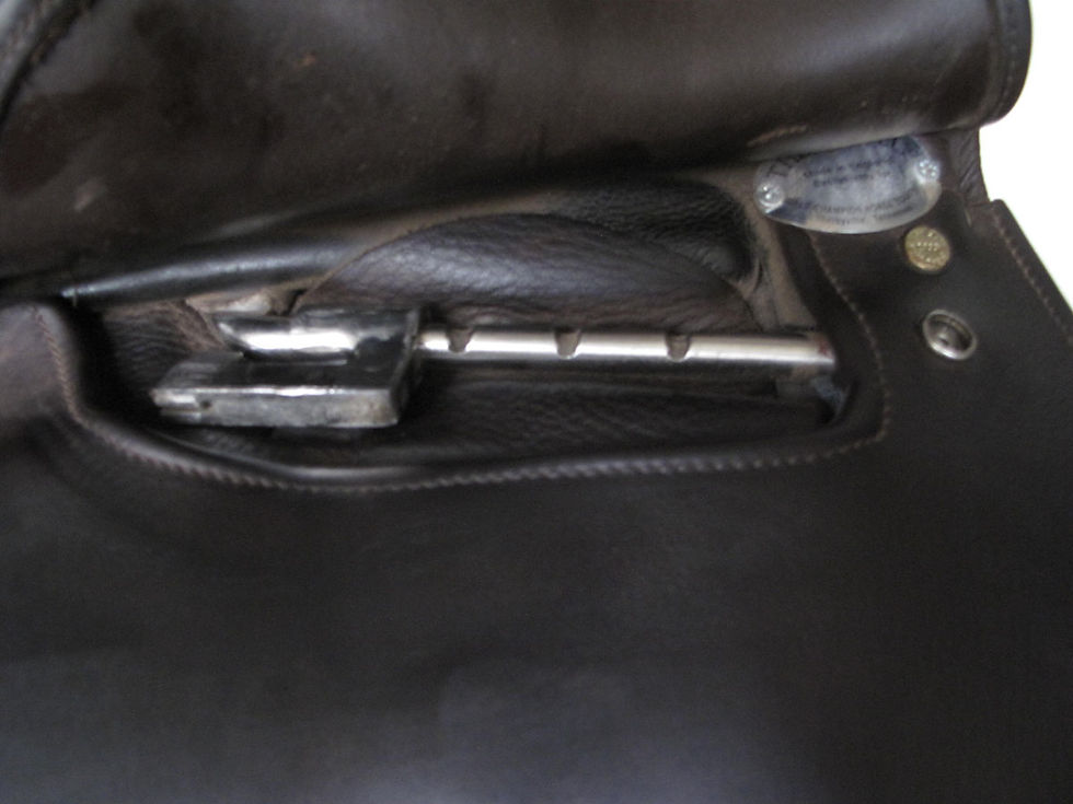 Thumbnail: 21" Shively MMXTreem - 2014 model