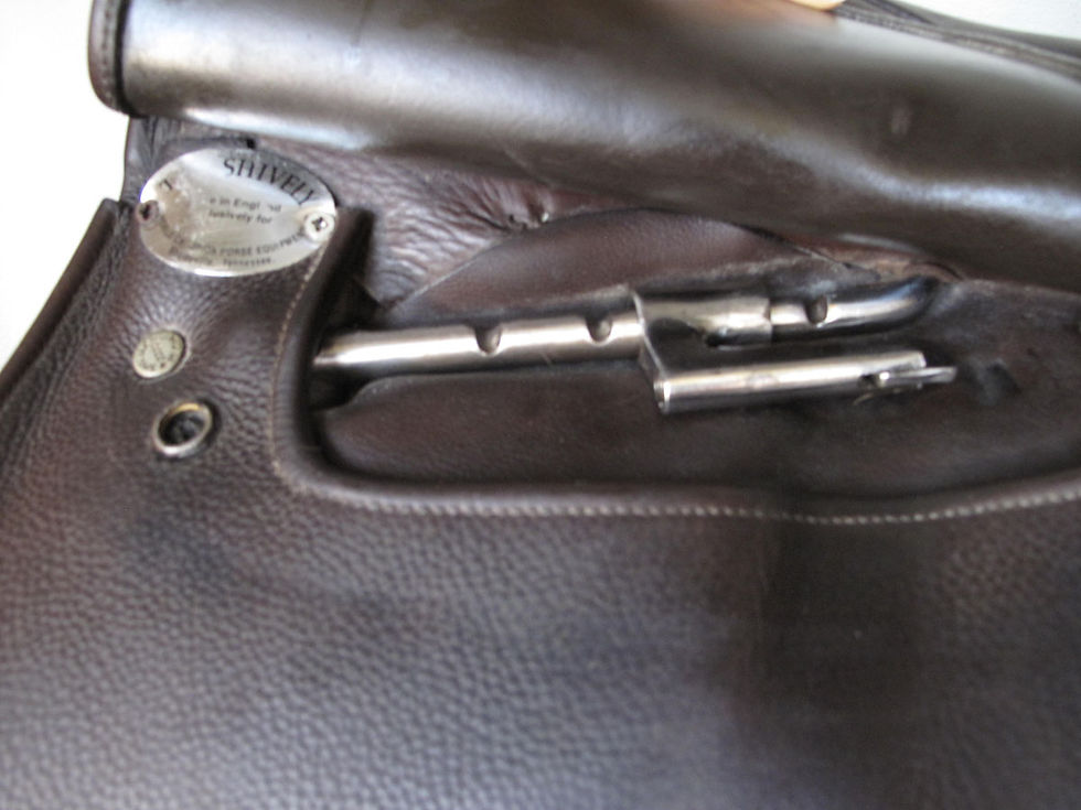 Thumbnail: 22" Shively MMXTreem - 2009 model