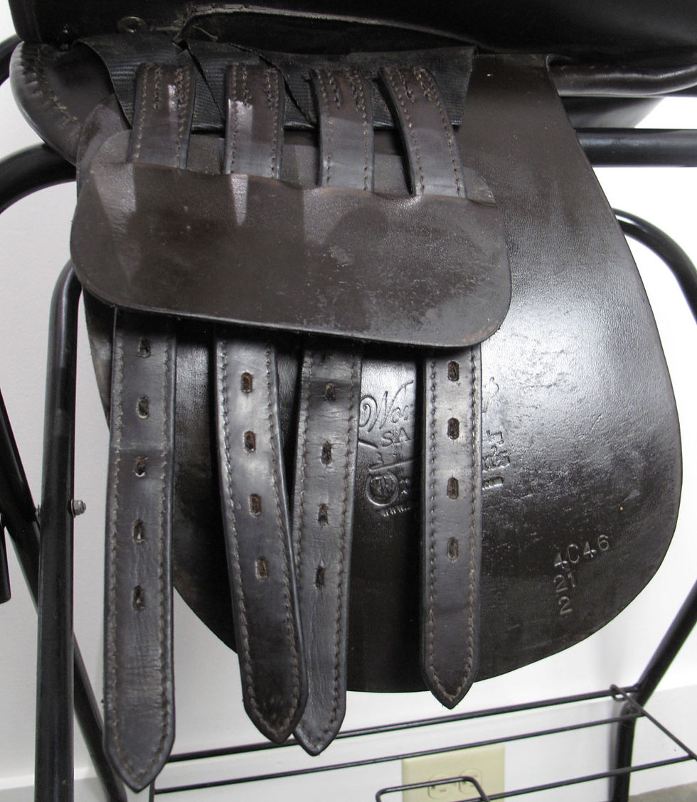 Thumbnail: 21" Freedman WCSG - 2014 model
