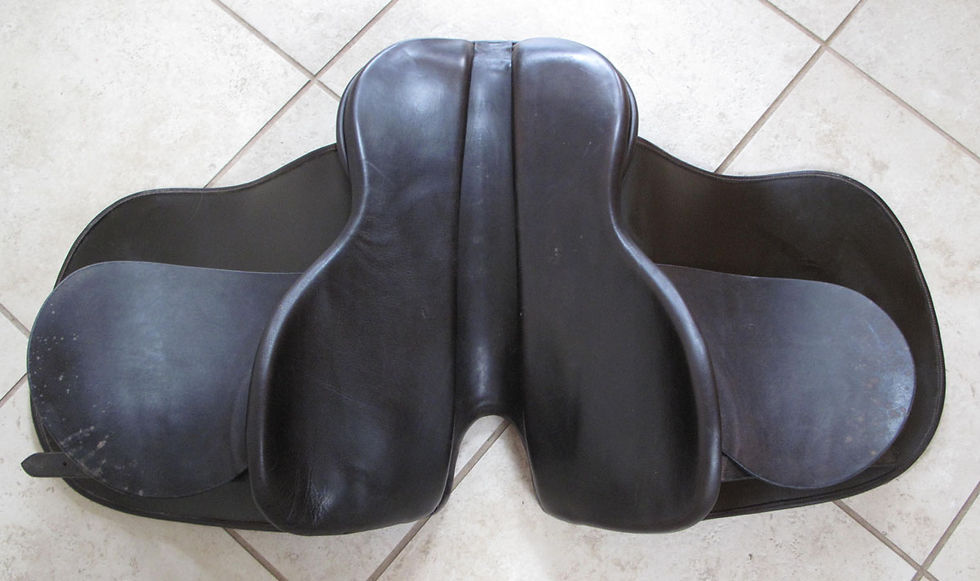 Thumbnail: 20" Shively MMX - 2007 model