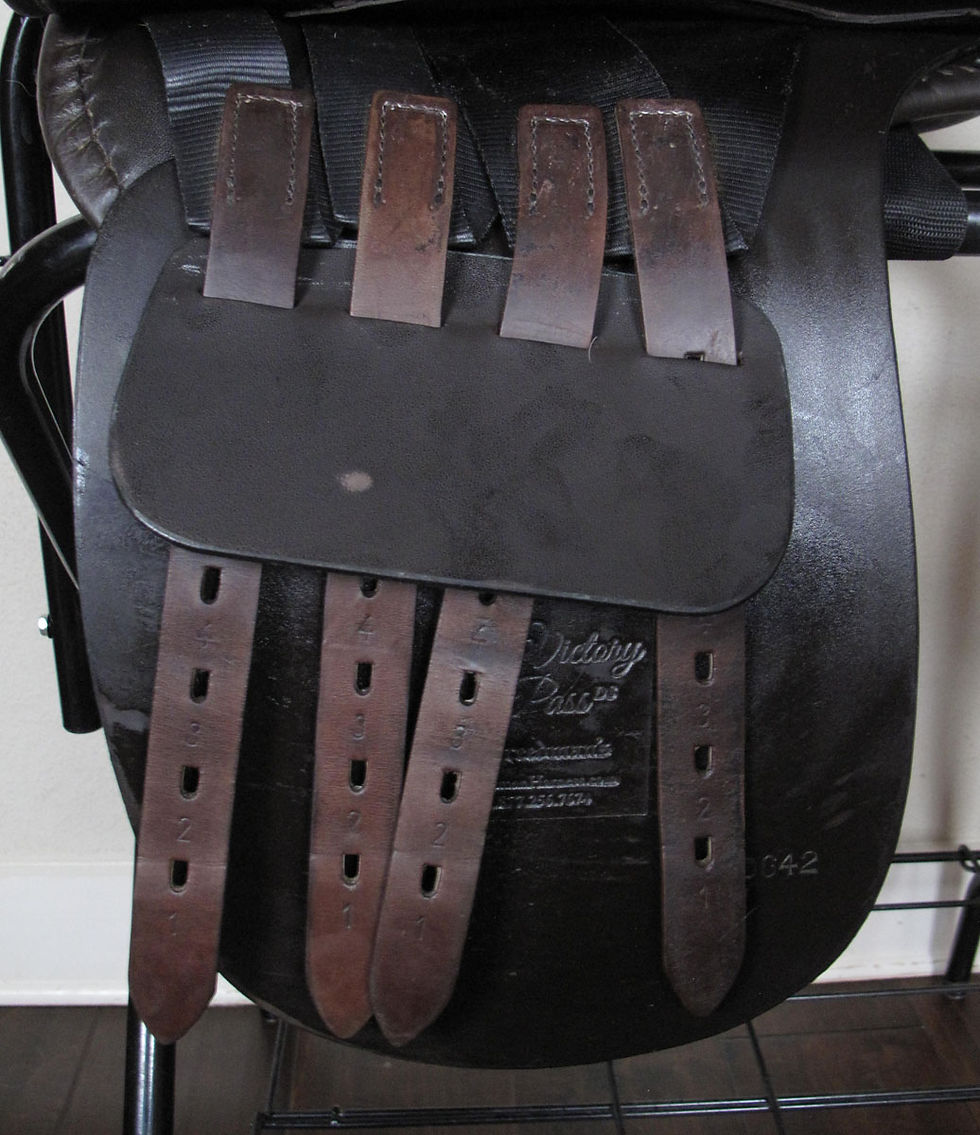 Thumbnail: 21" Freedman VPDS - 2019 model