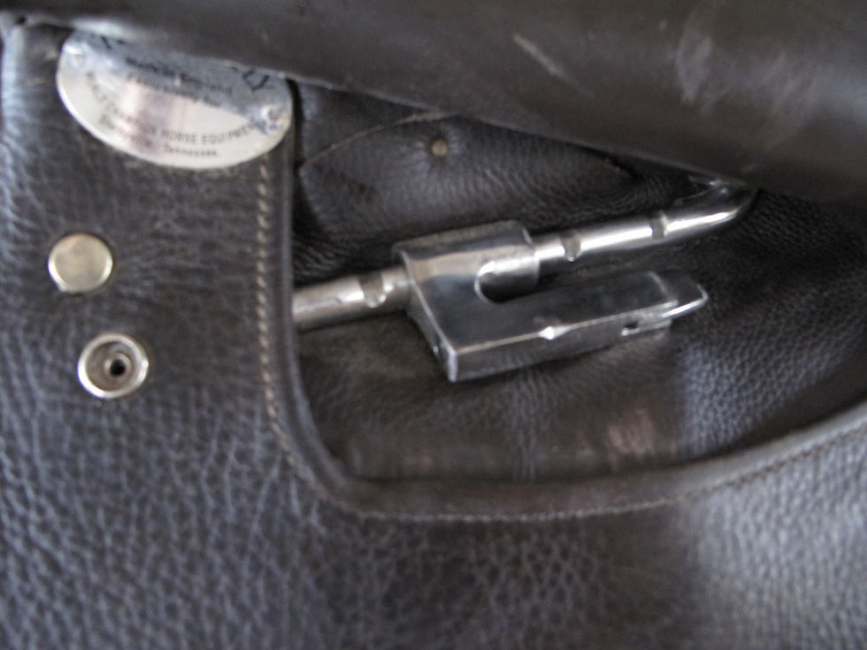 Thumbnail: 20" Shively MMX - 2010 model