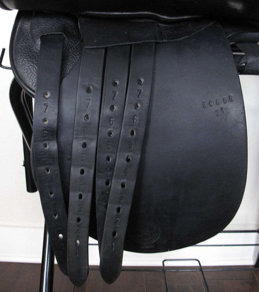 Thumbnail: 21" Shively MMX BLACK - 2005 model